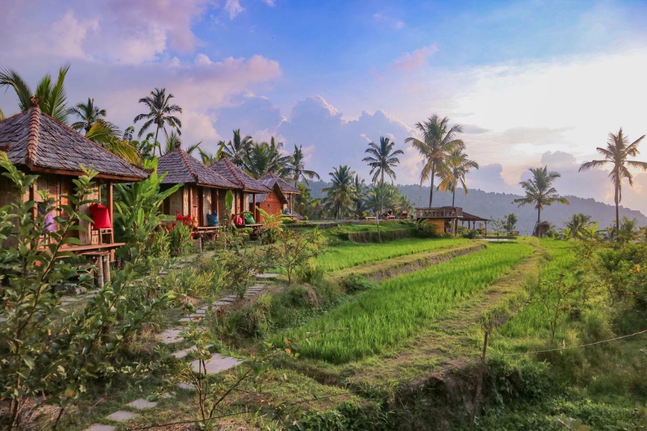 Villa Puri Sunny Camp Munduk Exterior foto